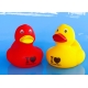 DUCKY TALK I LOVE Amsterdam Rood  Eendjes met tekst