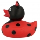 Rubber Duck Ladybird LILALU  Lilalu