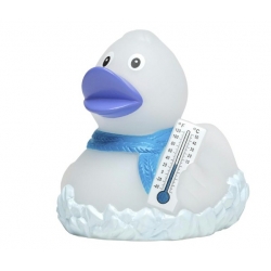 Rubber duck winter thermometer DR  More ducks