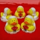 Rubber duck mini bride  Mini ducks