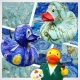 Amandelbloesem van Vincent van Gogh Badeend  Dutch Ducky