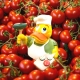 Valentina Veggie Duck Lanco  Lanco