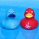 DUCKY TALK I LOVE Terschelling Blau  Enten mit tekst