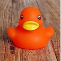 Rubber duck orange B