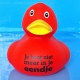 DUCKY TALK Je bent niet meer in je eendje Rot  Enten mit tekst