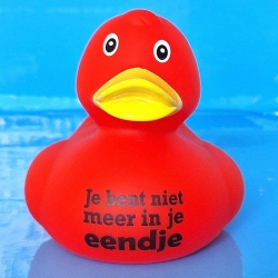 DUCKY TALK  Je bent niet meer in je eendje Red  Ducks with text