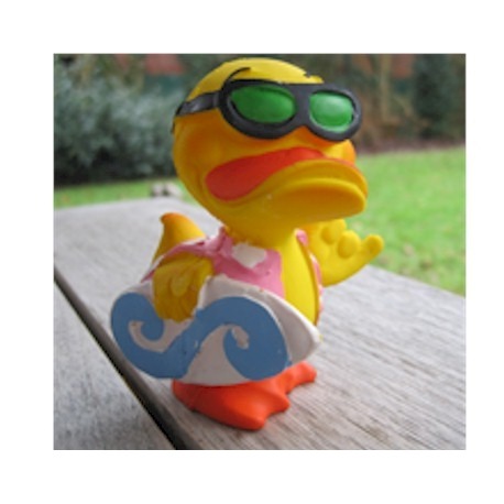 Surf duck Lanco  Lanco