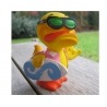 Surf duck Lanco