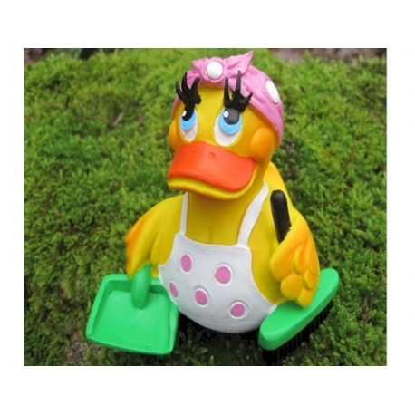 Cleaning lady duck Lanco  Lanco