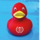 Badeend rood met wit logo LEIDEN  Home