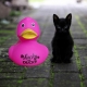 DUCKY TALK LUCKY DUCKY fluor roze  Eendjes met tekst