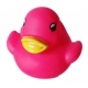 Rubber duck bright pink B  Other colors