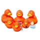 Badeend DUTCH DUCKY Oranje 8 cm B  Dutch Ducky