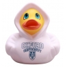Badeend Oxford University