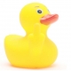 Fuck you Rubber duck  Home