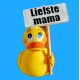 Duck text sign with your own text Lanco  Lanco