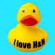 Duck with your own name / text  Duck with your Text