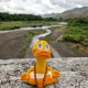 Yoga duck Lanco  Lanco