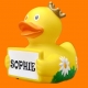 Gummiente Schild mit Name oder Text Krone  Home