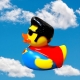 Badeend Superman Zonnebril ET  Famous People Ducks