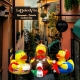 Badeend Rome Italie DR  Wereld eendjes