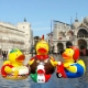 Badeend Rome Italie DR  Wereld eendjes