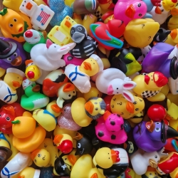 Set van 100 mini badeendjes B  Mini eendjes