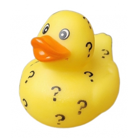 I don't know mini Question mark rubber duck  Mini ducks
