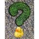 I don't know mini Question mark rubber duck  Mini ducks