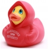 Rubber duck Cambridge  University