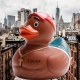 Rapper Hiphop Gummiente 2Duc.  Mehrere enten