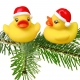 Badeend kerstmuts mini  Kerst