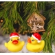 Badeend kerstmuts mini  Kerst
