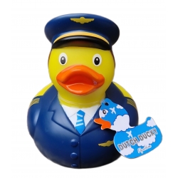 Piloot badeend KLM  Beroep eendjes