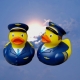 Piloot badeend KLM  Beroep eendjes