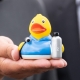 Badeend waterstof DR  Overige eendjes
