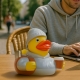 Quietsche-Ente Start-Up  Mehrere enten