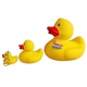 Rubberduck XL 15 cm Yellow  Big ducks