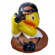 Fotograf Badeente DD  Beruf enten