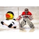 Badeend ijshockey DR  Sport eendjes