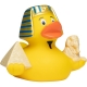 Badeend Egypte DR  Wereld eendjes