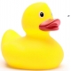 Verzwaarde badeend 8 cm RaceDucky D  Badeendrace