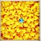 Rubber duck yellow B (100: € 0,90)  Yellow