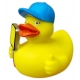 Badeend Bord D  Overige eendjes