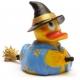 Witch duck Lanco  Lanco