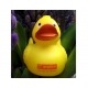 Badeend Ducky 7,5 cm DR  Geel