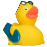 Badeend surfer DR