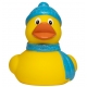 Badeend winter DR  Overige eendjes