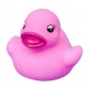 500 Badeend mini roze B THUIS VOELEN OP EEN ANDERE PLEK  Overige kleuren