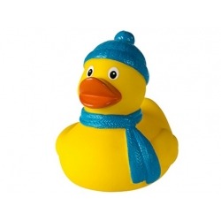 Badeente winter DR  Mehrere enten